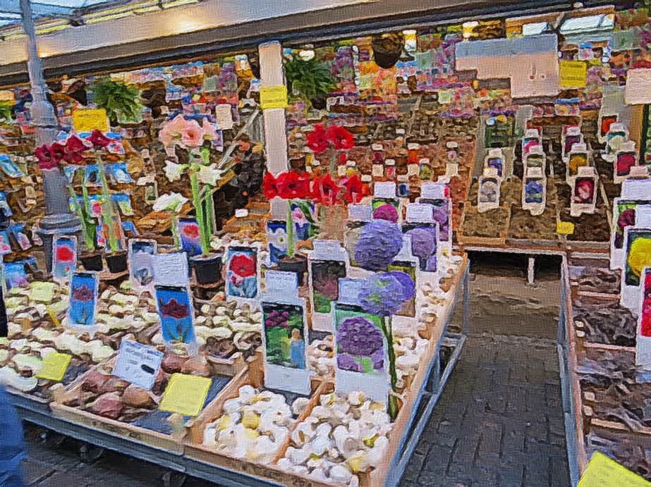 Ein Bild, das Text, Marktplatz, Geschäft, Naturprodukte enthält.

Automatisch generierte Beschreibung