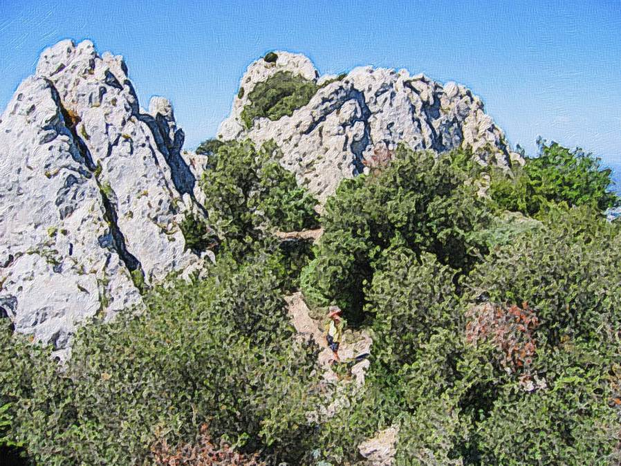 Ein Bild, das Baum, draußen, Rock, Berg enthält.

Automatisch generierte Beschreibung