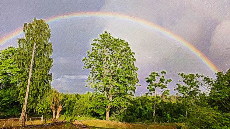 Ein Bild, das Natur, Regenbogen enthlt.

Automatisch generierte Beschreibung