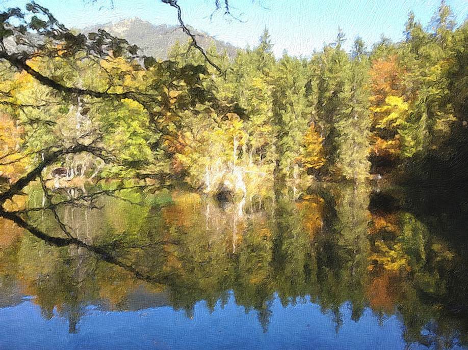 Ein Bild, das Natur, Wasser, Teich, Baum enthält.

Automatisch generierte Beschreibung